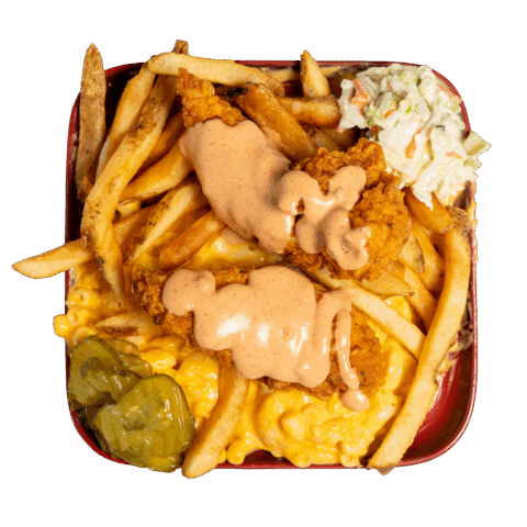 Chicken Combo Platter